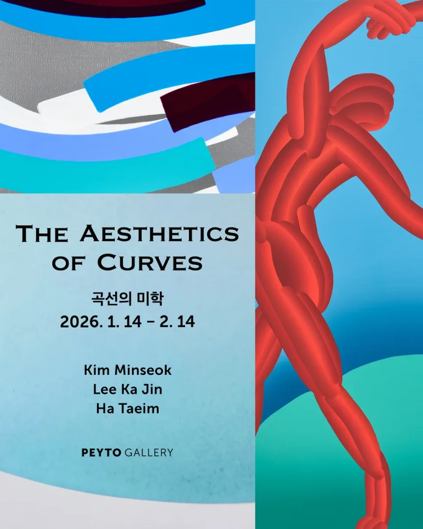 곡선의 미학 The Aesthetic of Curves