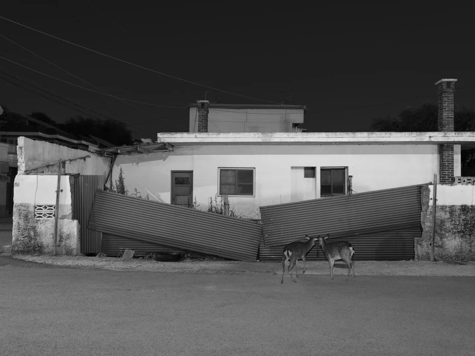 권도연展 ‘녹투라마(Nocturama)’