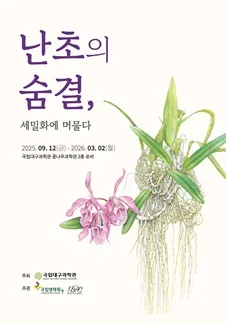 난초의 숨결, 세밀화에 머물다