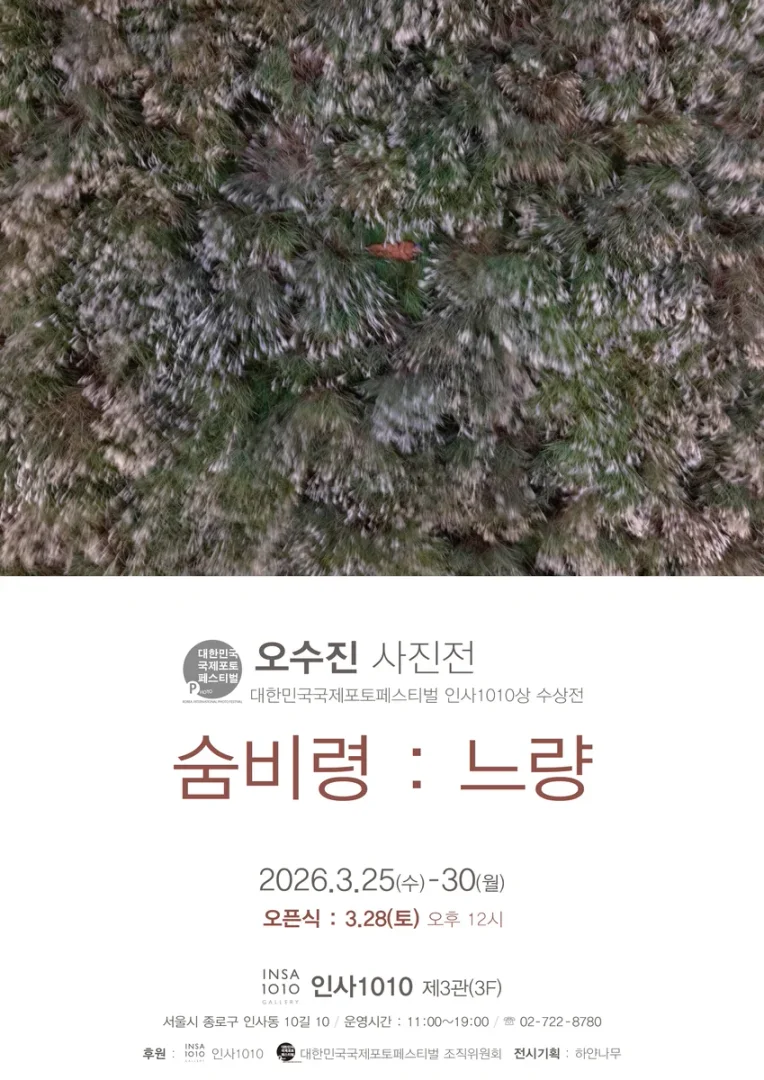 숨비령:느량