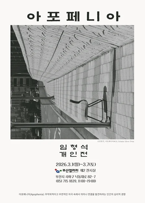 아포페니아 Apophenia