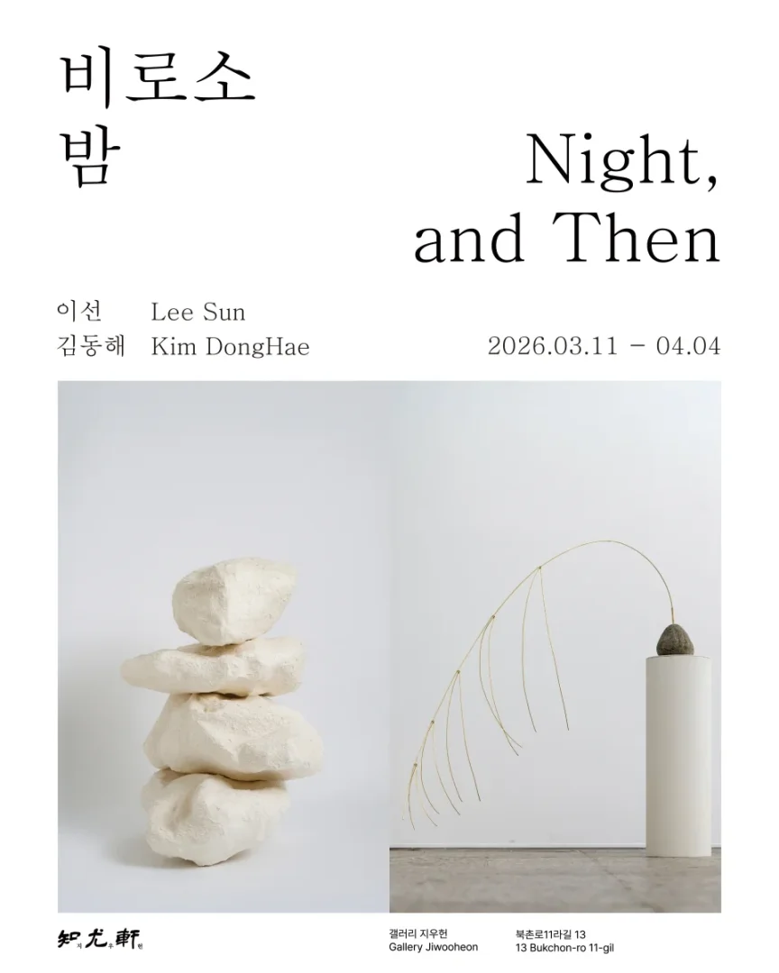비로소 밤