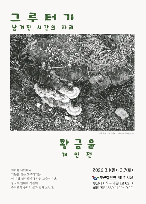 그루터기, 남겨진 시간의 자리