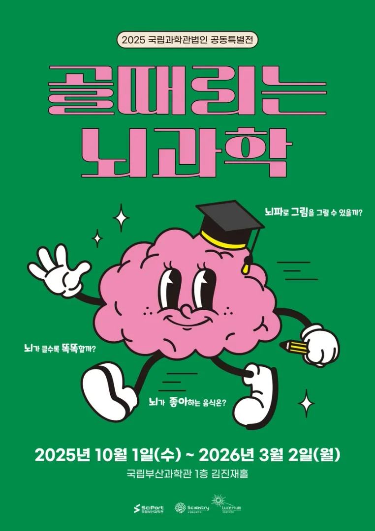 골때리는 뇌과학