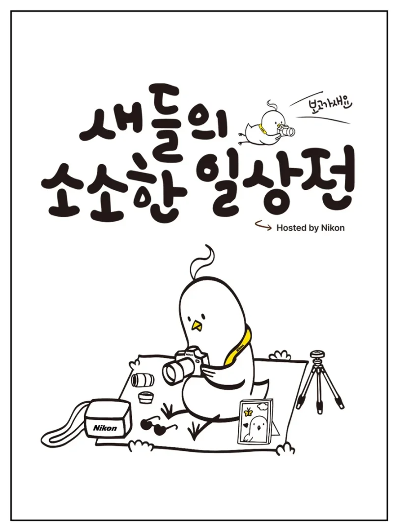 보고가새요, 새들의 소소한 일상전