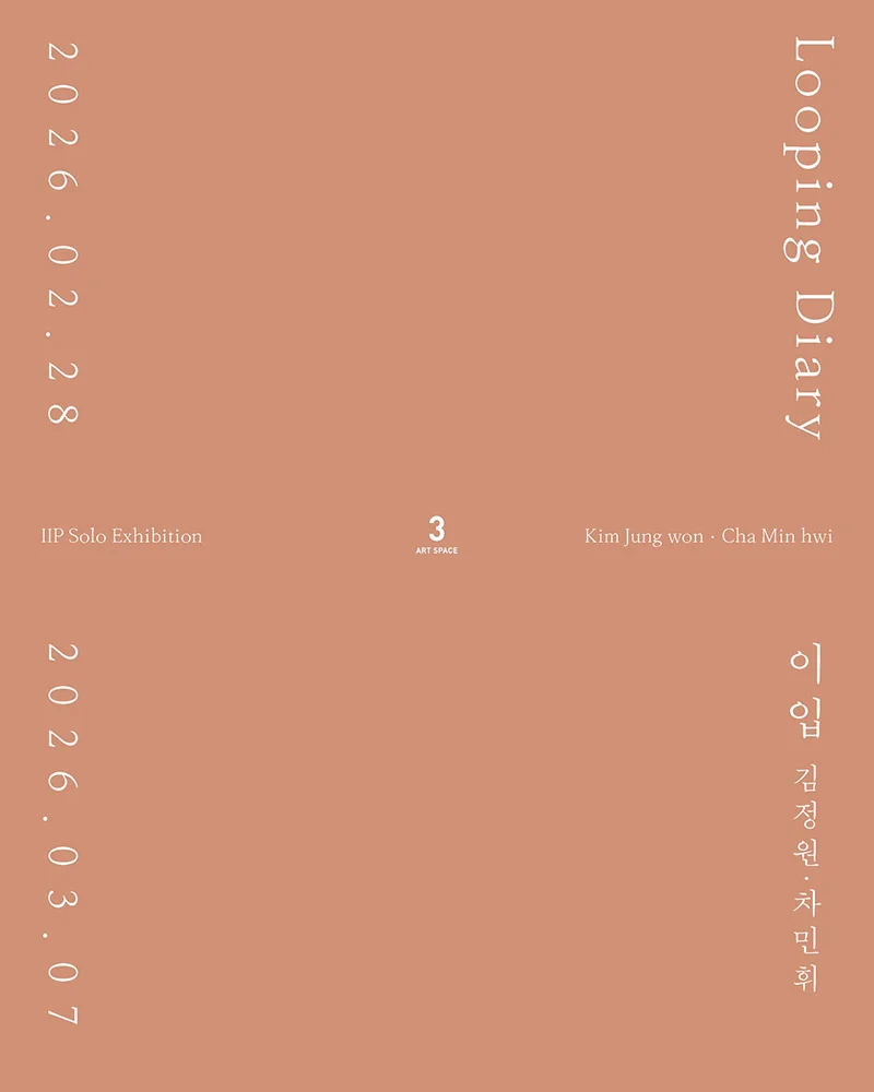 Looping Diary