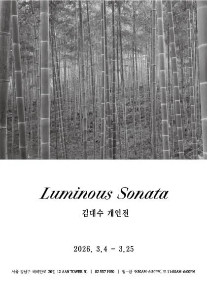 김대수 개인전 [Luminous Sonata]