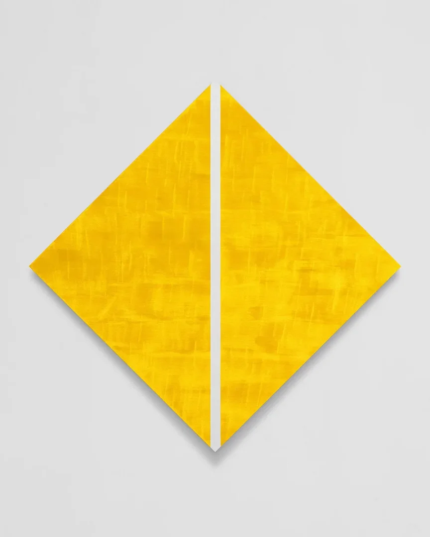 Mary Corse: Primary Light