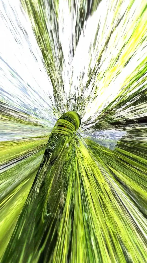 THE SHAPE OF RE-ENTRY