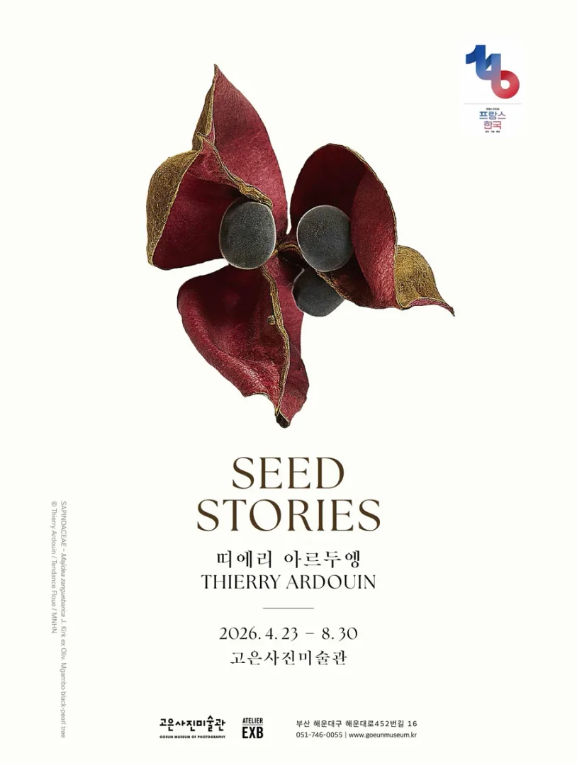 Seed Stories