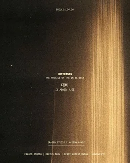 대비, 그 사이의 시학