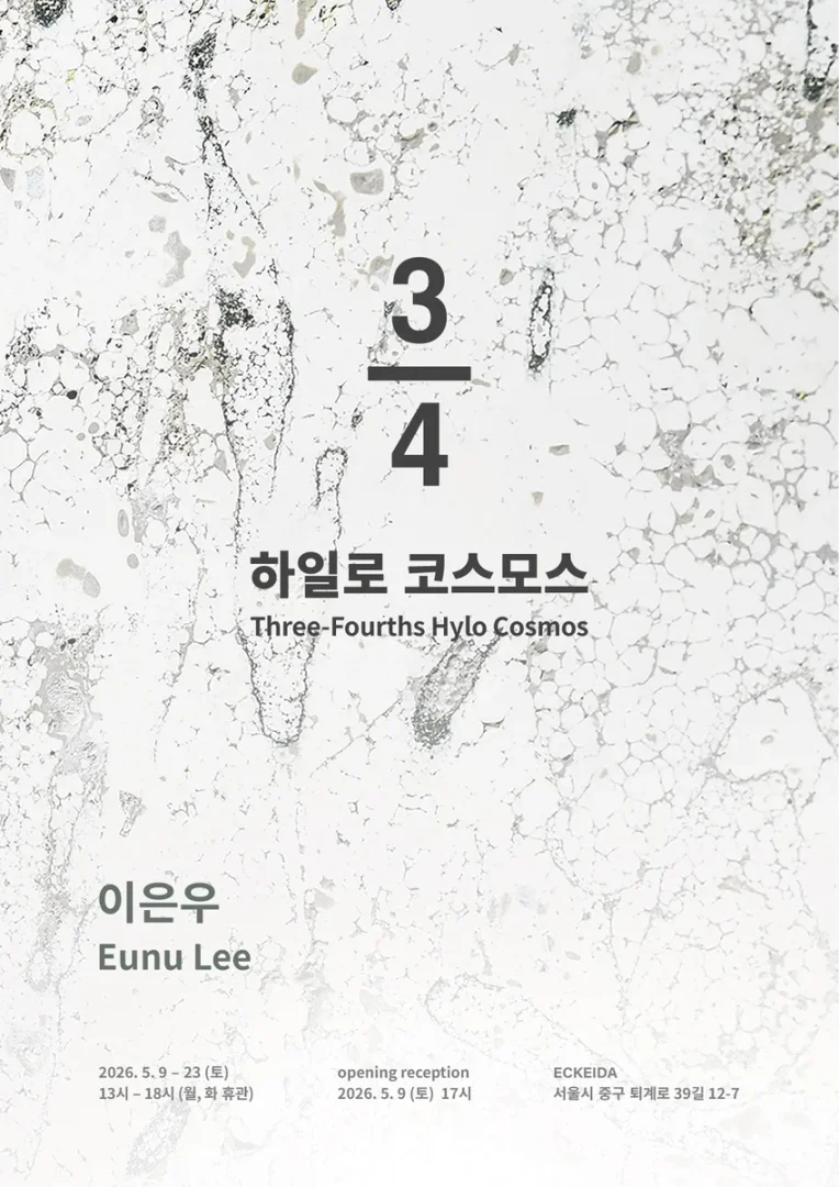 3/4 하일로 코스모스