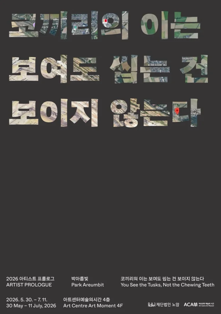 박아름빛 개인전 코끼리의 이는 보여도 씹는 건 보이지 않는다