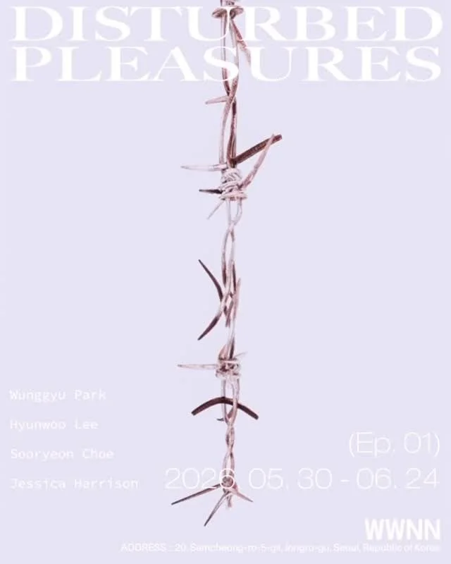 Disturbed Pleasure